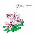 ゼラニウム